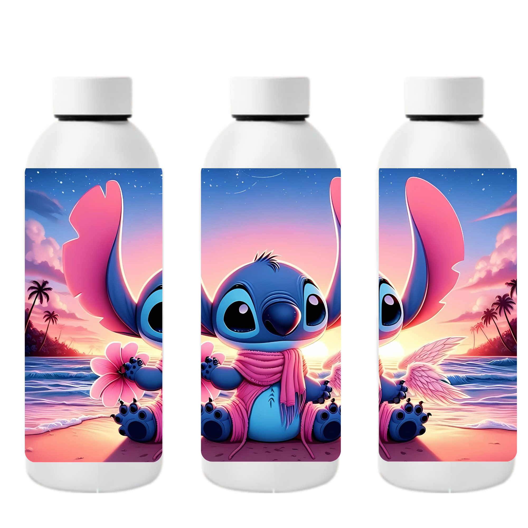 Bouteille 17 oz