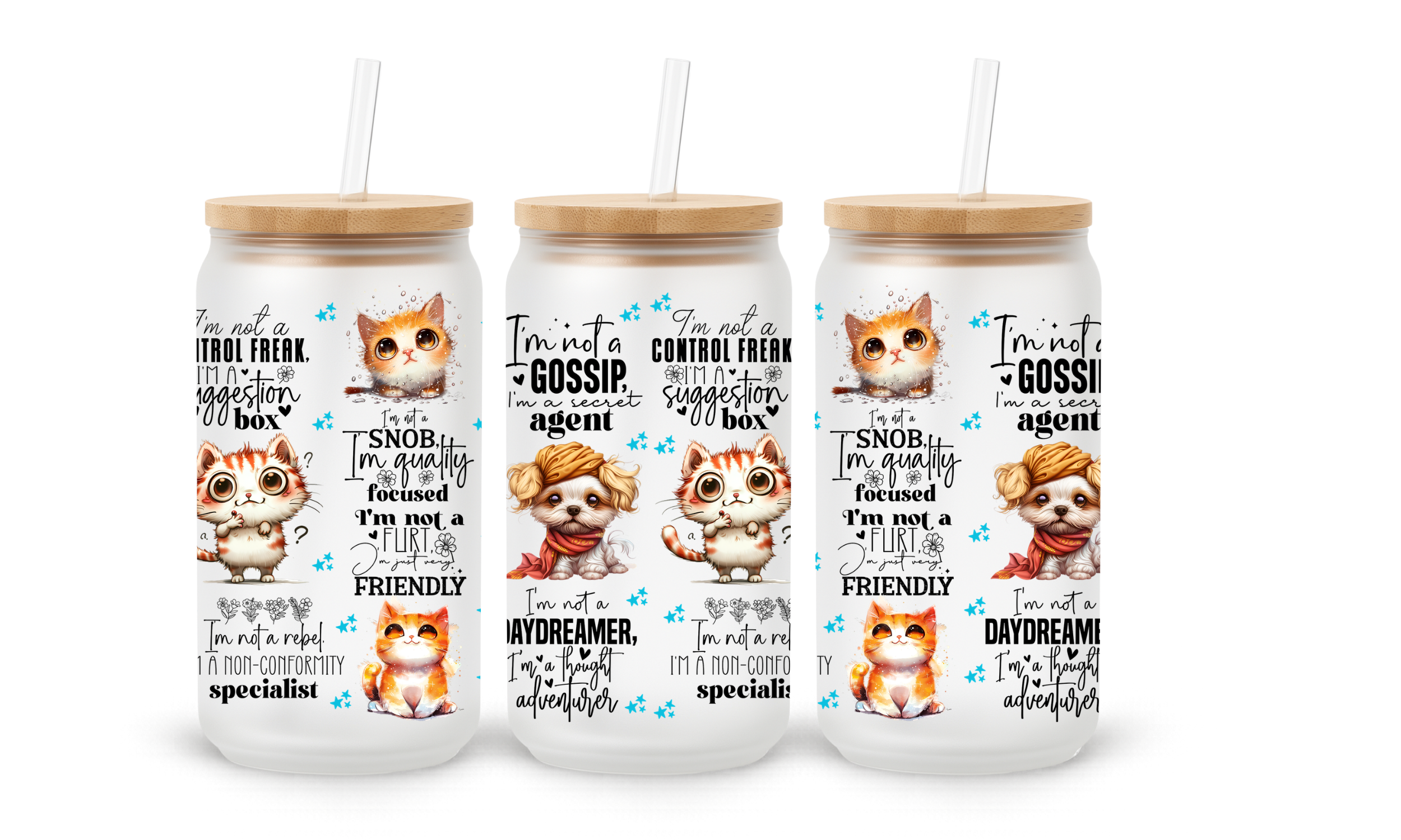 Verre givré 16 oz – Cat Attitude Quotes