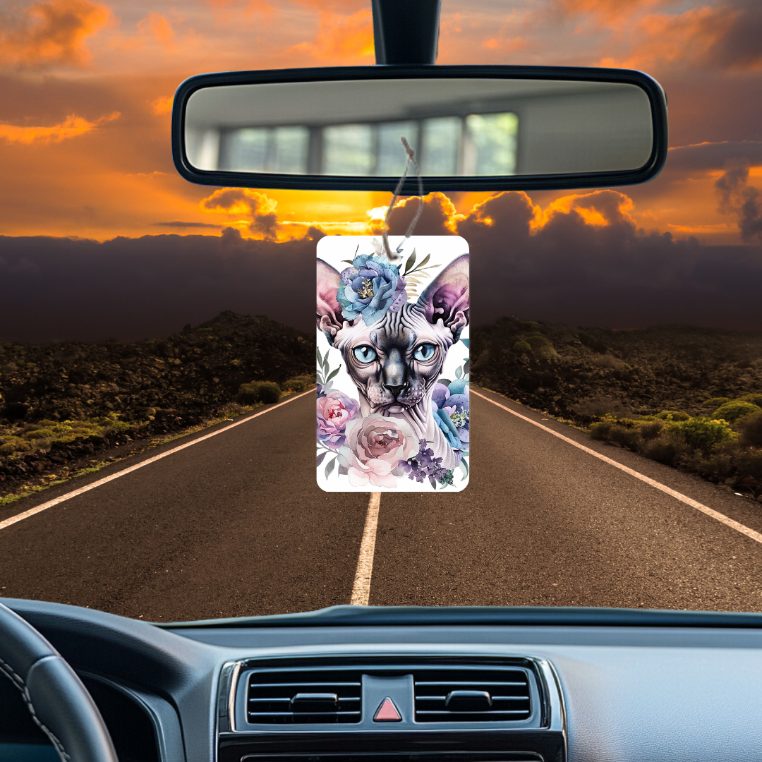 Sens bon automobile